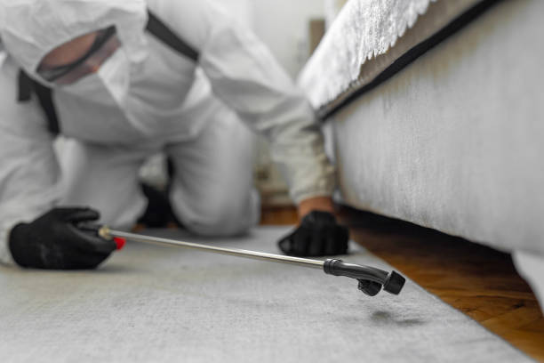 Professional Bed Bug Control technician working in Santa Fe County County, NM